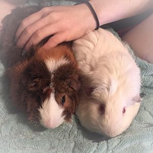 Meet your Posher, Alanna